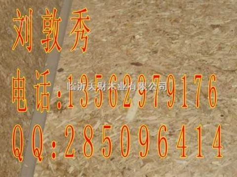 临沂义堂镇天财木业专业生产OSB定向刨花板