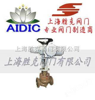德国AIDIC进口电动笼式单座调节阀